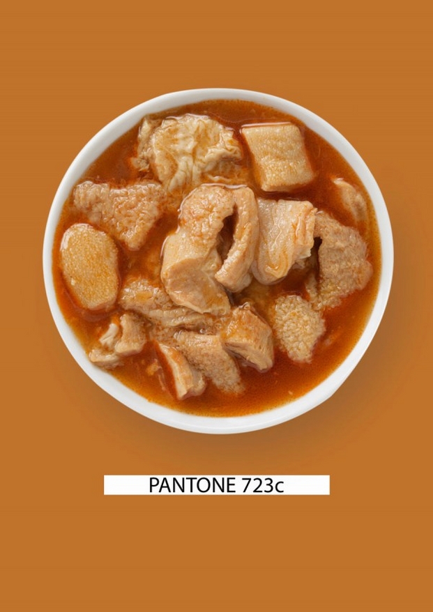 Pantone-food-callos1-gastromedia-600x848