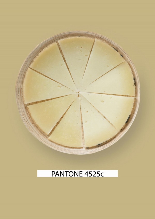 Pantone-food-queso-1-gastromedia-600x848