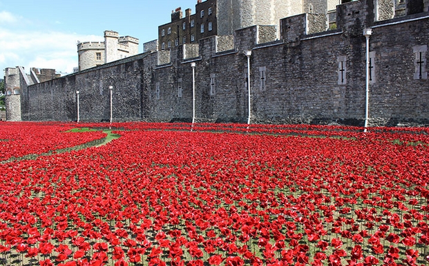 007 tower poppies