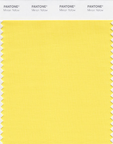 Pantone amarillo minion