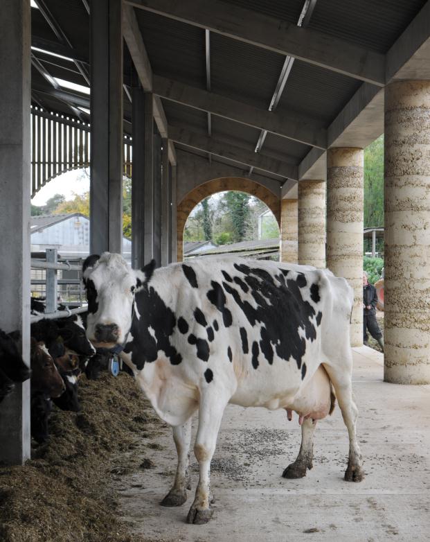 Cowshed-in-Somerset-by-Stephen-Taylor-Architects-(c)-David-Grandorge