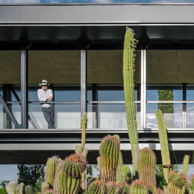 jardin botanico cactus Desert City Jacobo Garcia German Madrid diariodesign