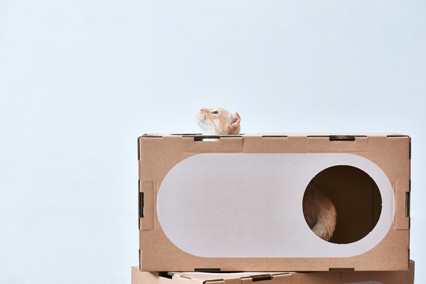 A Cat Thing una ciudad sostenible y un juguete para gatos diariodesign cajas carton 