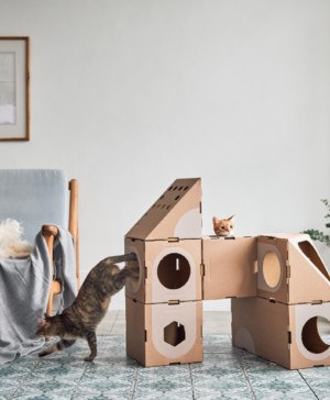 A Cat Thing una ciudad sostenible y un juguete para gatos diariodesign cajas carton