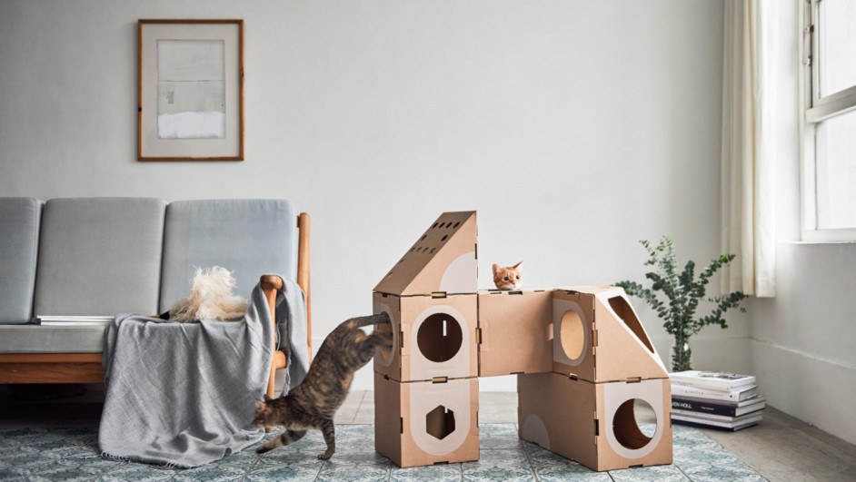 A Cat Thing una ciudad sostenible y un juguete para gatos diariodesign cajas carton