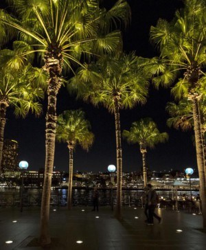 ERCO iluminaria Palm Trees Sydney Muelle Circular Quay Palmeras diariodesign