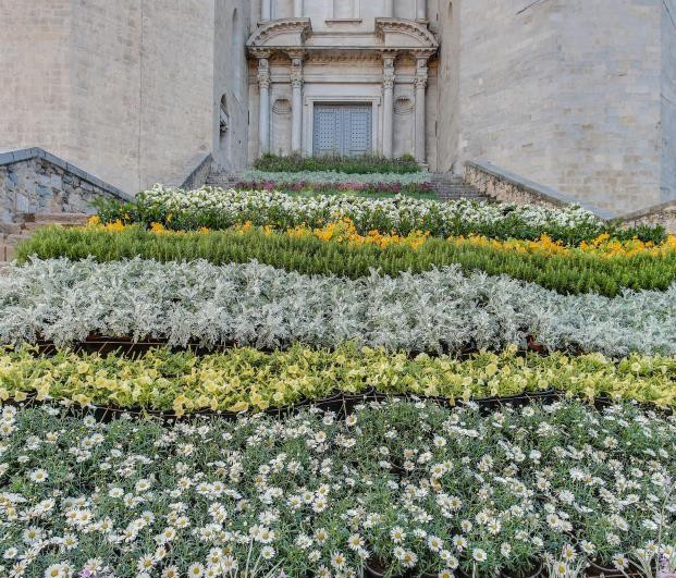 Temps de Flors Girona 2018 escalinata catedral diariodesign
