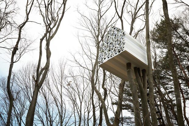 Treehouse project. Japan. Nendo
