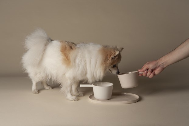 perro comiendo comedero diseñado por perezochando