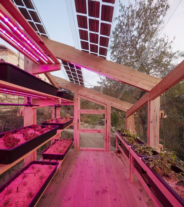 Soalr Greenhouse. Matriz de luces LED para mejorar la calidad y el rendimiento del cultivo