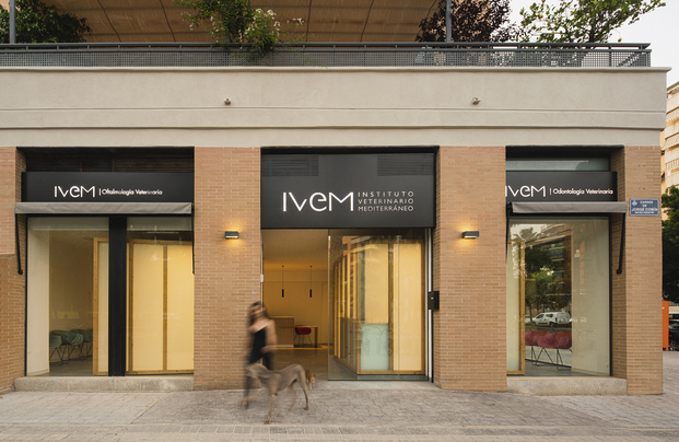 Esta clínica veterinaria en València es un oasis de paz y confort para los animales.