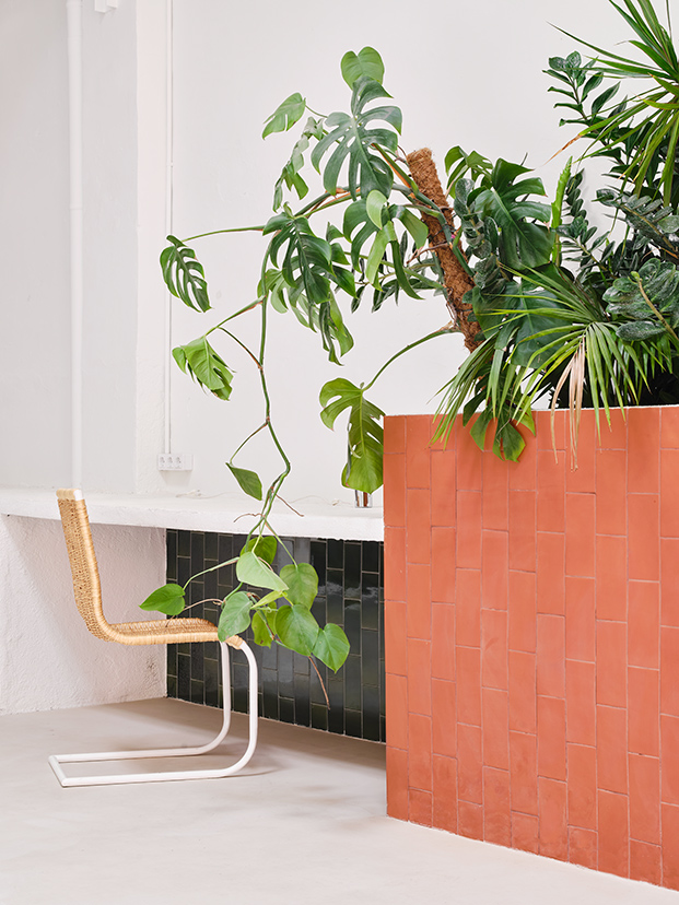 jardinera de obra revestida de azulejos, plantas tropicales en oficina