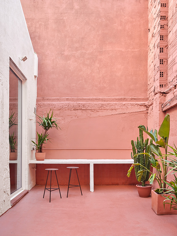 patio interior pintado de rosa con plantas