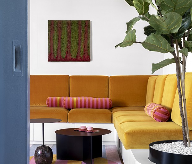 sofa amarillo mostaza