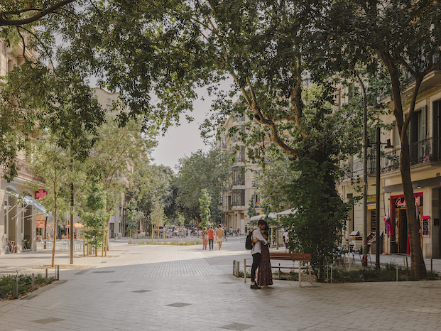 arboles paseo calle bancos premios arquia